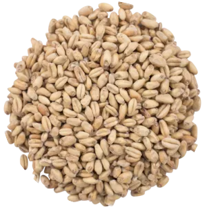 Malt - Cereal grain