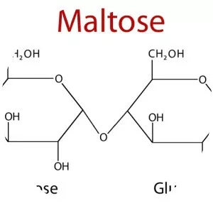 Maltose - 