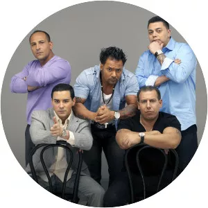 Mama's Boys of the Bronx - TV program