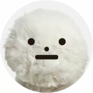 Mameyudoufu - Musical artist