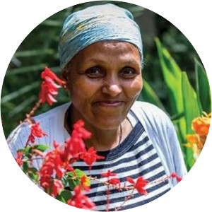 Mamitu Gashe - Ethiopian surgeon