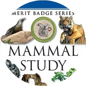 Mammal Study