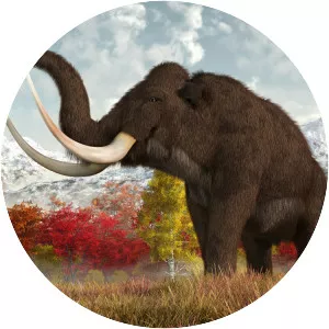 Mammoth photograph