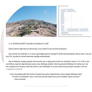 Mamzooran Bibi photograph