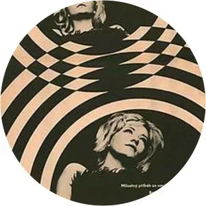 Man Is Not a Bird (Човек није тица)