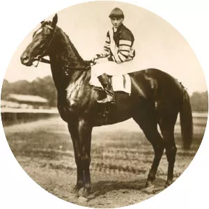 Man o' War