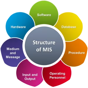Management information system - Field of study