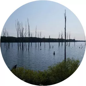 Manasquan Reservoir - Reservoir in New Jersey