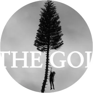 Manchester Orchestra