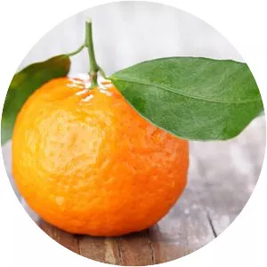 Mandarin orange