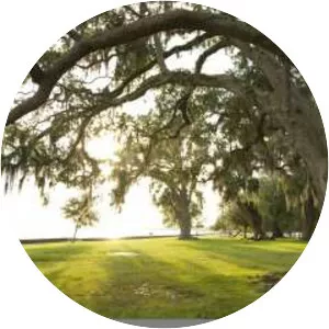 Mandeville - City in Louisiana