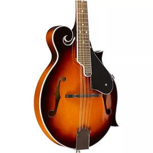 Mandolin - Musical instrument
