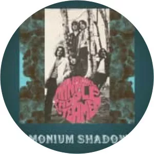 Mandrake Paddle Steamer