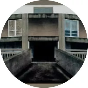 Mandy Payne - British artist