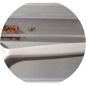 Manganese(II) sulfide