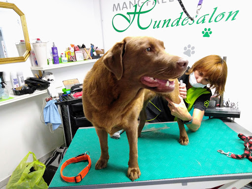 Mangfalltaler Hundesalon Bettina Feldmaier - Pet groomer in Bad Aibling, Germany