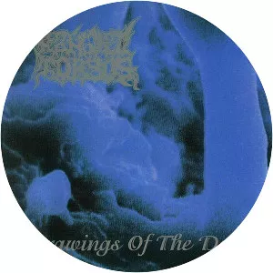 Mangled Torsos - Musical group