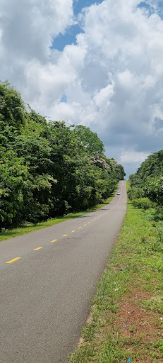 Mangofarm camping photograph
