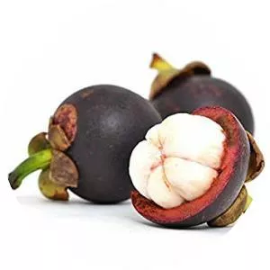 Mangosteens - Plants
