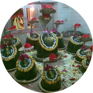 Mangrauni photograph