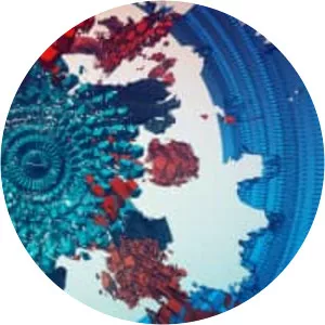 Manifold Garden - Video game