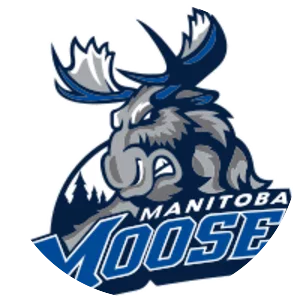 Manitoba Moose