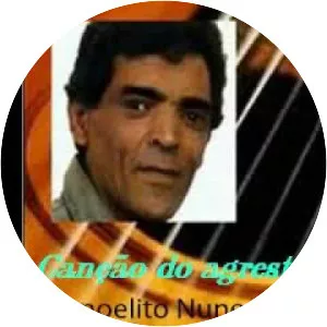 Manoelito Nunes - Musical artist