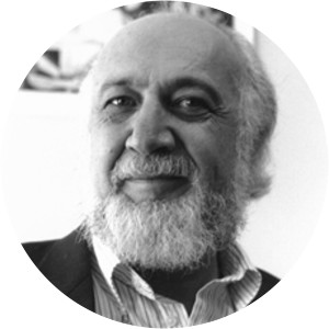 Mansour Farhang - Professor