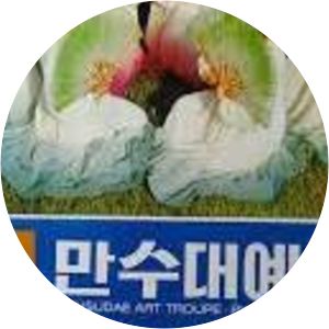 Mansudae Art Troupe - Musical group