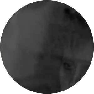 Mantas Zemleckas photograph