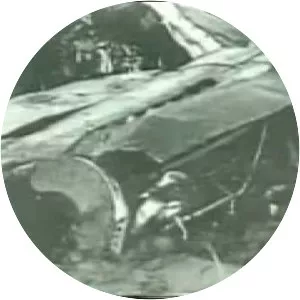 Mantell UFO incident - 