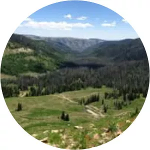 Manti-La Sal National Forest