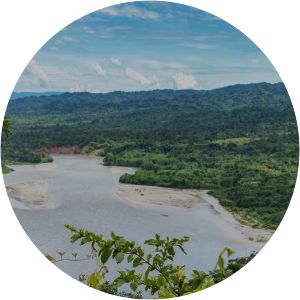 Manu National Park - 