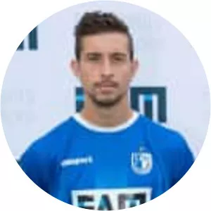 Manuel Farrona-Pulido