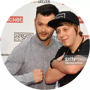 Manuel Hoffelner - Musical artist