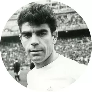 Manuel Sanchis Martinez