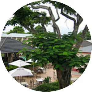 Manzini - City in Swaziland