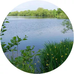 Mapperley Reservoir