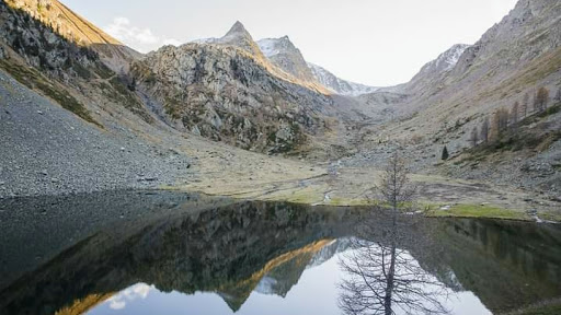 Mara Altamura Osteopata Varazze  - Osteopath in Varazze, Italy