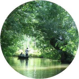 Marais Poitevin - 