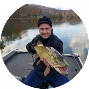 Marc Amiel - Television producer