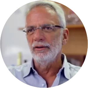 Marcel Herrmann Telles - Brazilian investor