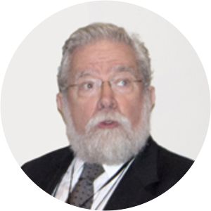 Marcelo de Paiva Abreu - Author