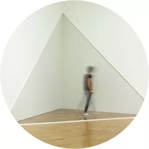 Marcius Galan - Visual artist