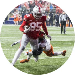 Marcus Baugh - American football tight end