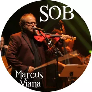 Marcus Viana & Transfônica Orkestra - Musical artist