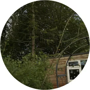 Marcus Whately photograph