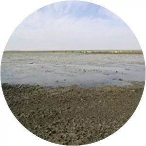 Mare d Oursi - Lake in Burkina Faso