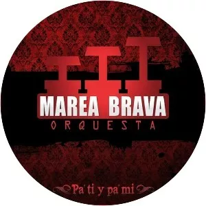 Marea Brava Orquesta - Musical artist