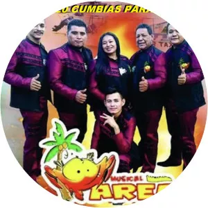 Marea Musical - Musical artist